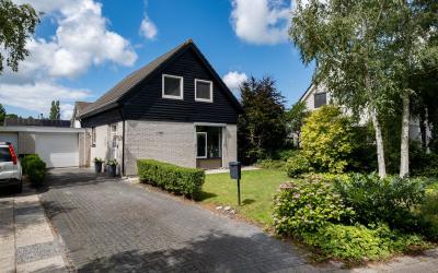 Orxmasingel 144