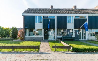 IJsvogel 12