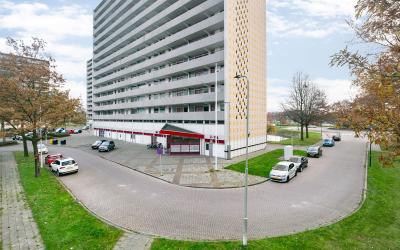 Tjaarda 60