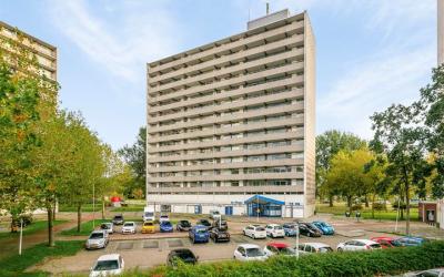 Tjaarda 242