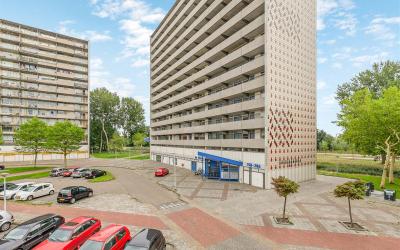 Tjaarda 252