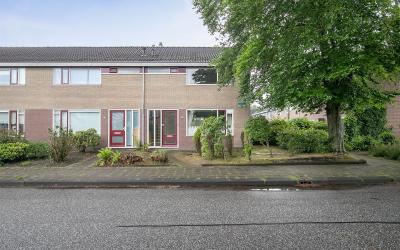 Dollard 17