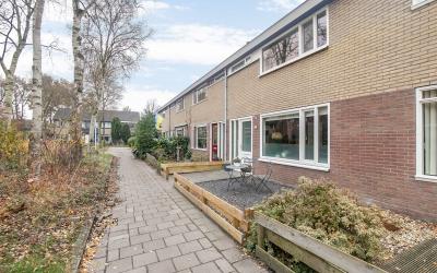 Dollard 246
