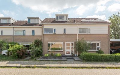 Zwemmer 19