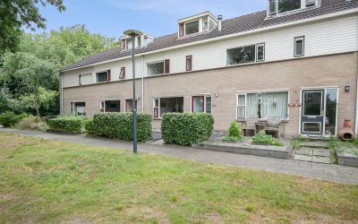 Wimerts 100