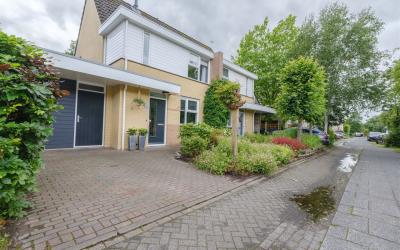Morra 138