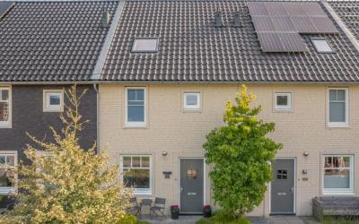 Jelle Plant. 106