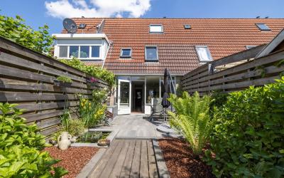 Hanebalken 264