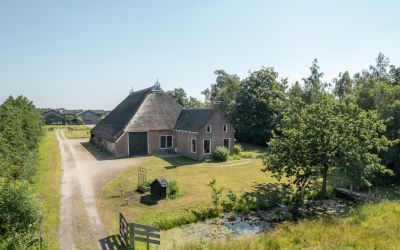 Nijtap 65