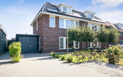 Ljippeblom 18