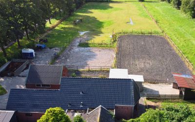 De Hoarnen 6