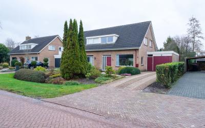 De Ekster 13