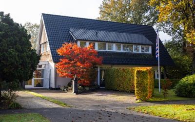 Patrizekloft 10