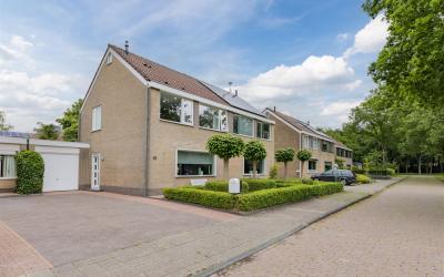 Patrizekloft 15