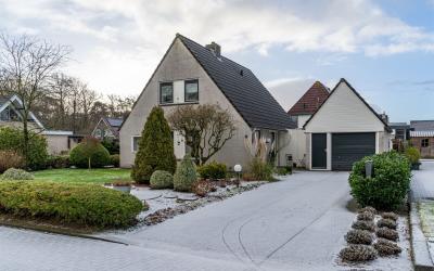 Wyldsang 1