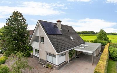 Wyldsang 12