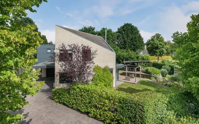 Wyldsang 21