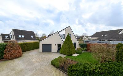 Wyldsang 29