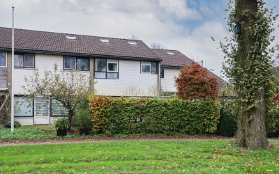 Kobbeflecht 171