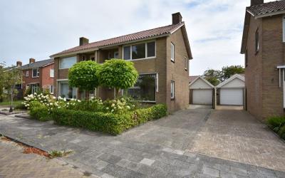 Swanneblom-. 24