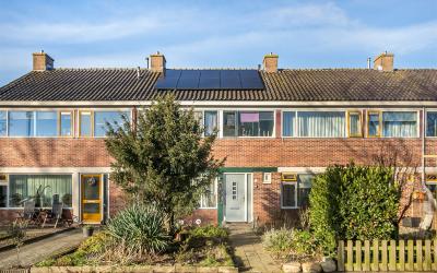 Willem Lode. 35