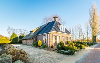 de Wygeast 37