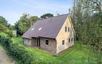 de Wygeast 38