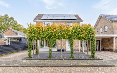 Meester Sch. 11