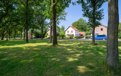 Zuidenveld 38