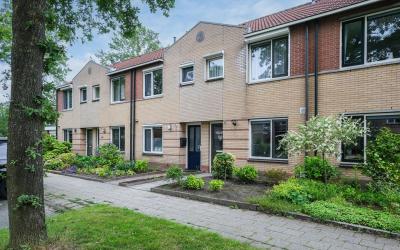 Schonauwen 6