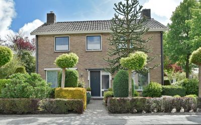 Goldbergsingel 58