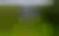 Oudestreek 1