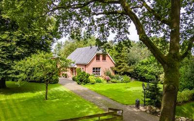 Veldstreek 40