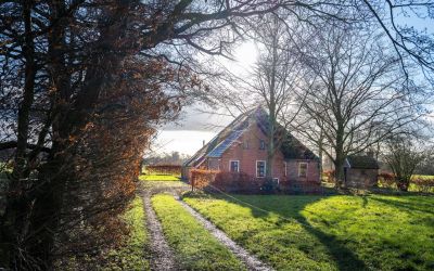 Zuiderhoeks. 4