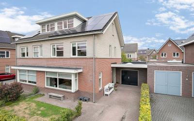 Het Palet 50