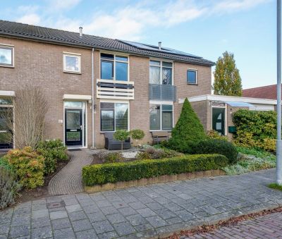 Muddegoorn 31