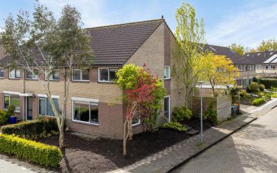 Schatgoorn 64