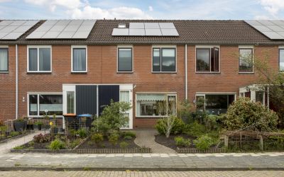 Roegoorn 65