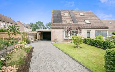 Boergoorn 1