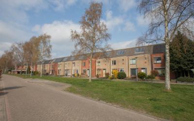Briljantsto. 46