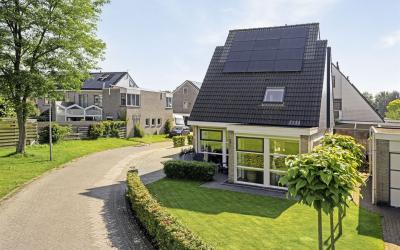 Zandhamel 4