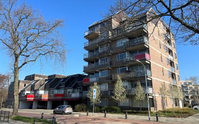Steendijk 7