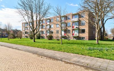 Gerard Doustraat 81