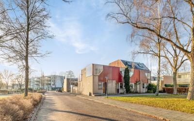Sleutelbloe. 10