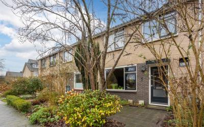 Zevensterst. 36