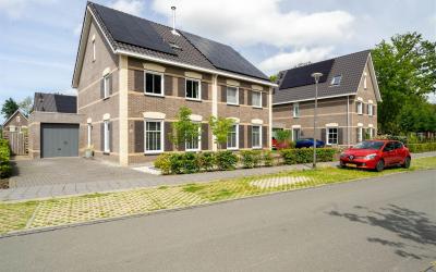 Koningsmant. 6