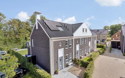Vlamhoed 26