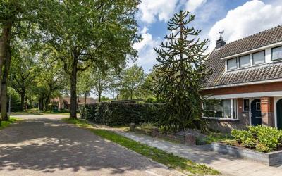 Westerwolde. 1