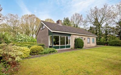 Witterzomer 36