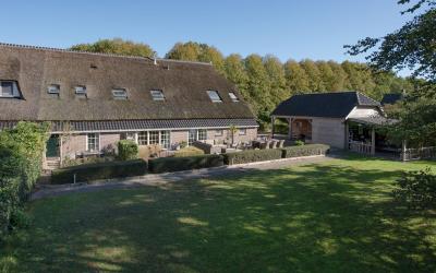 Witterhaar 6